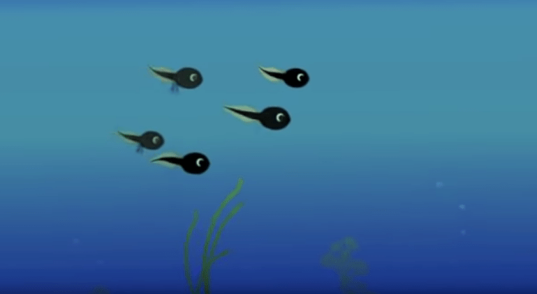 a72ad4c2f6827b551601ef7e39216a4b