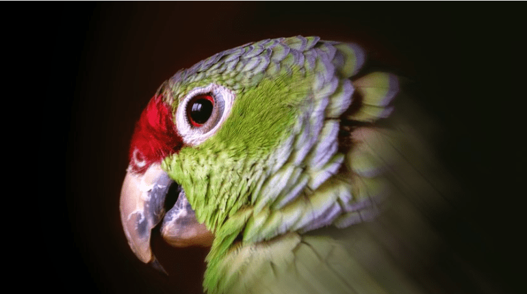 fe63e4fa869d3733b938a10772b934e2