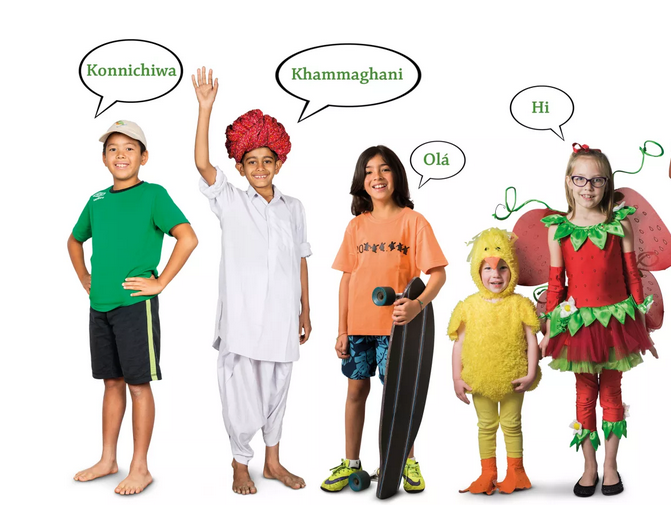 2cbb0f2f06ea0f33061c30f554594f3a