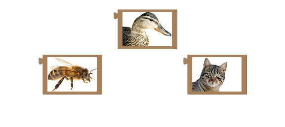 fc30d2b44287d91b0c79374f17e98d70