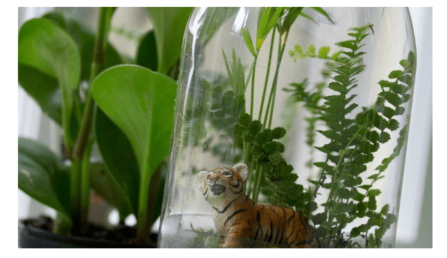 c96f408d2d7421682290d745bf78ee15