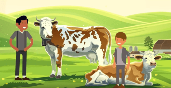 0340cf74565b26013e5dc3626c6341f7